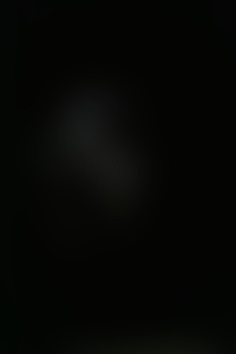 Black Labrador Retriever With Black Background